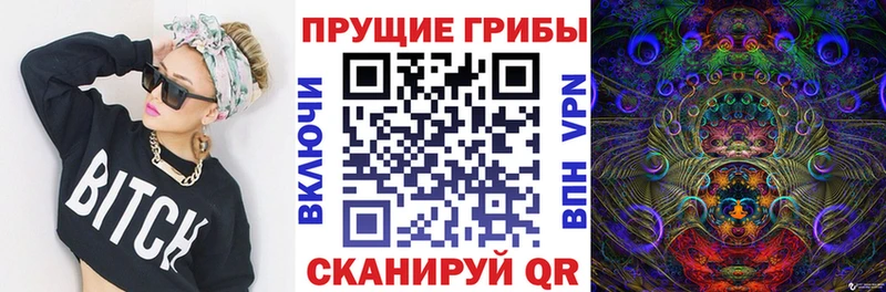 Псилоцибиновые грибы мухоморы  Котельнич 